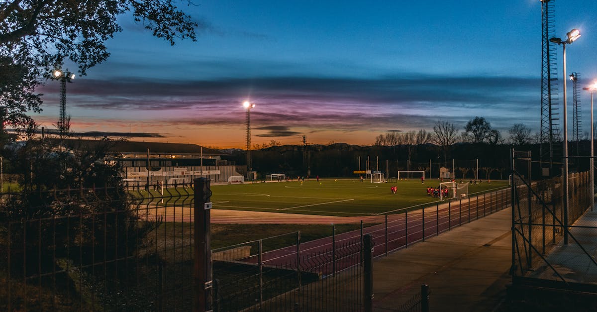 Budgeting for Your Artificial Turf: Cost Savings Over Time