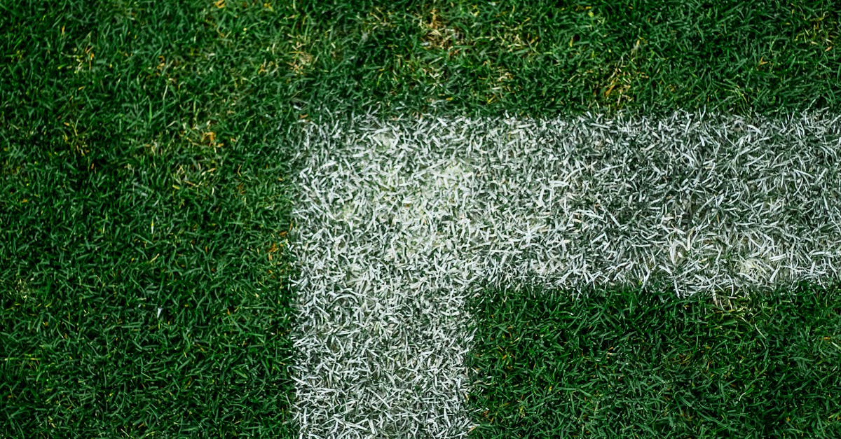 Effective Daily Cleaning Routines for Artificial Turf