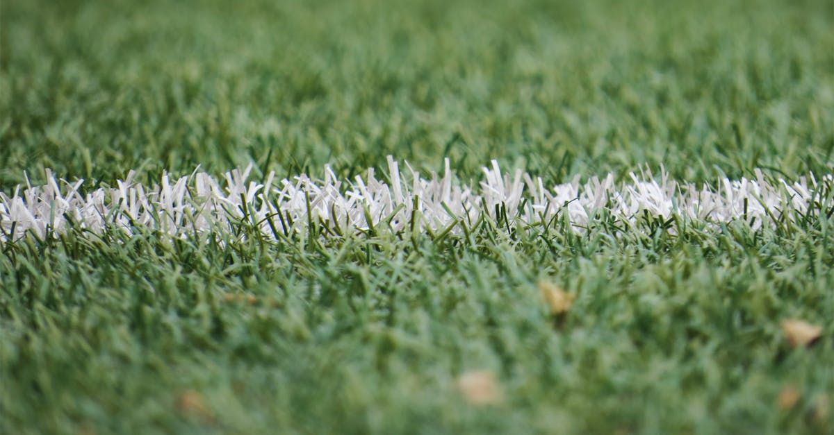 Evaluating Performance Grasses for High-Traffic Areas