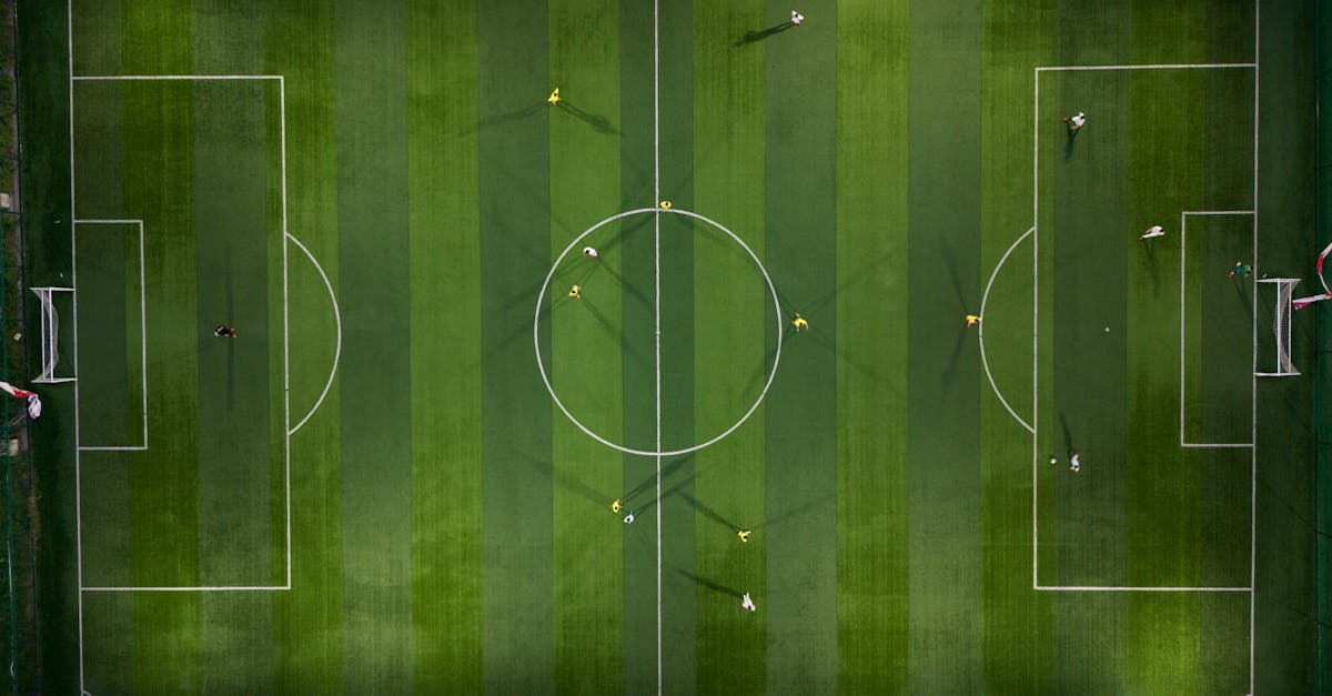 How to Properly Store Artificial Turf During Off-Seasons