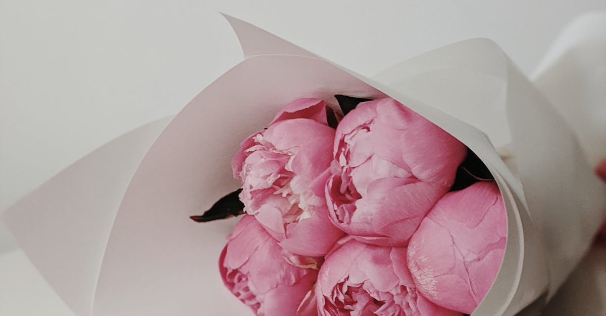 Innovations in Artificial Turf Technology for Enhanced Longevity