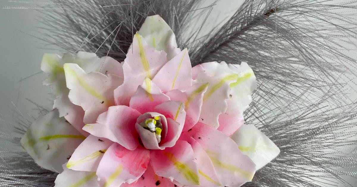 Selecting Drought-Resistant Turf Varieties for Sustainability