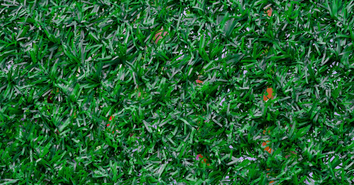 The Role of Colour and Texture in Artificial Turf Aesthetics