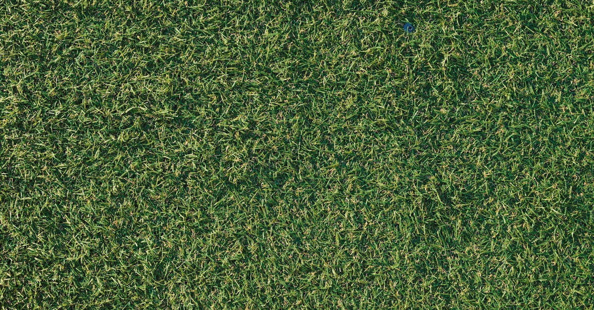 Understanding the Importance of Base Preparation
